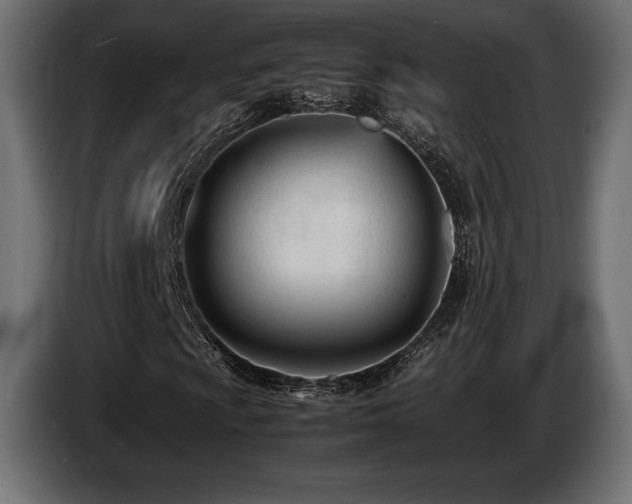 X0000086721009200704131039