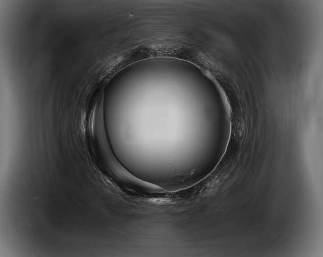 X0000086721010200704131039