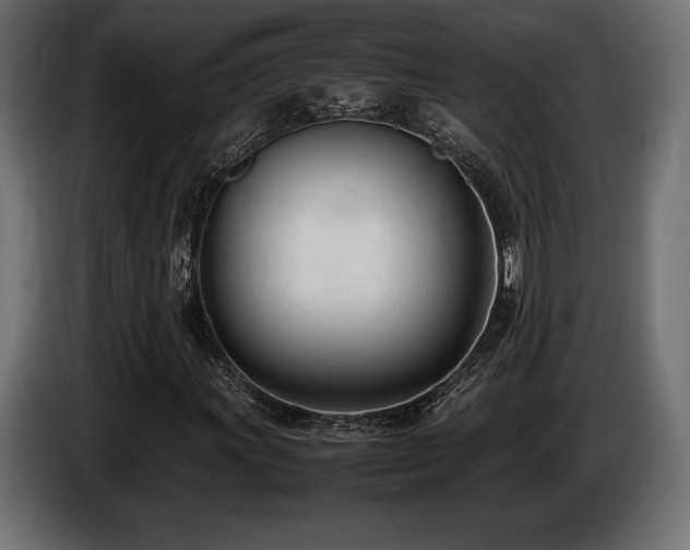 X0000086721011200704131039
