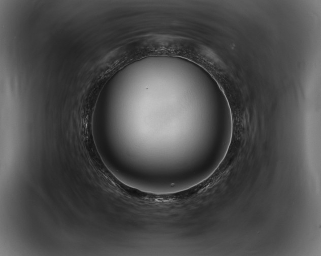 X0000086721013200704131039