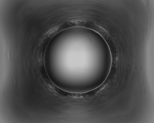 X0000086721014200704131039