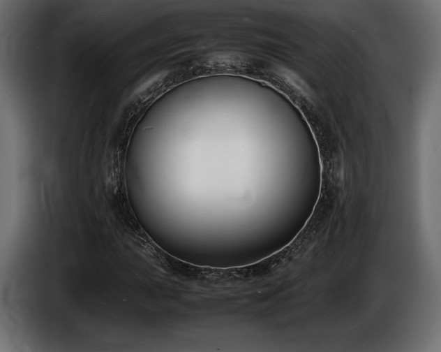 X0000086721015200704131039