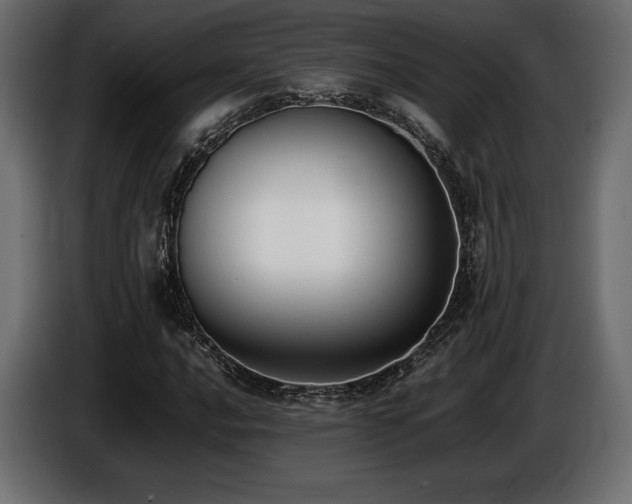X0000086721016200704131039