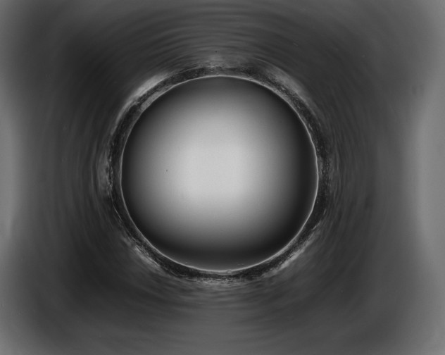 X0000086721018200704131039