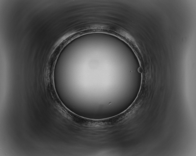 X0000086721019200704131039