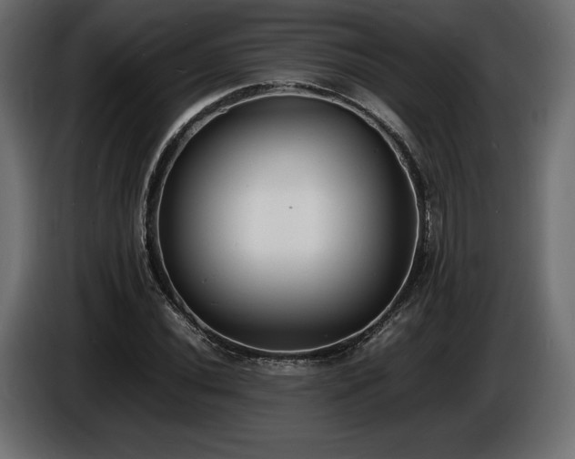 X0000086721020200704131039