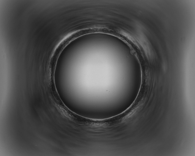 X0000086721021200704131039