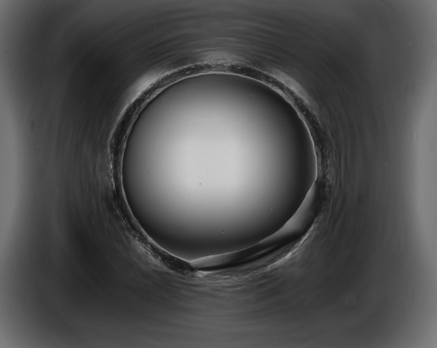 X0000086721022200704131039