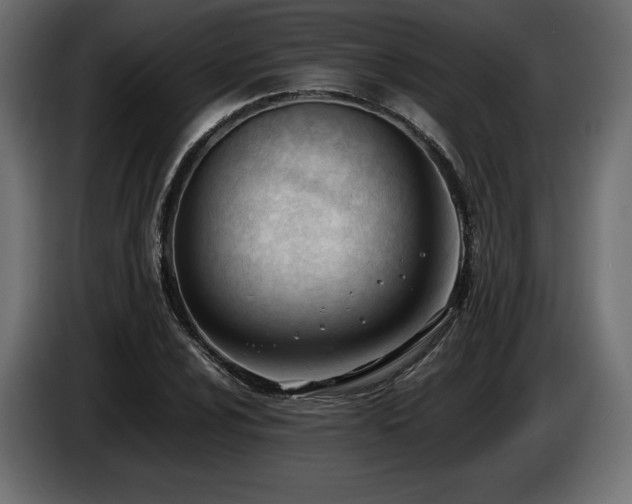 X0000086721024200704131039