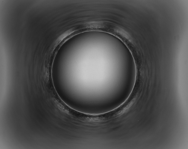 X0000086721025200704131039