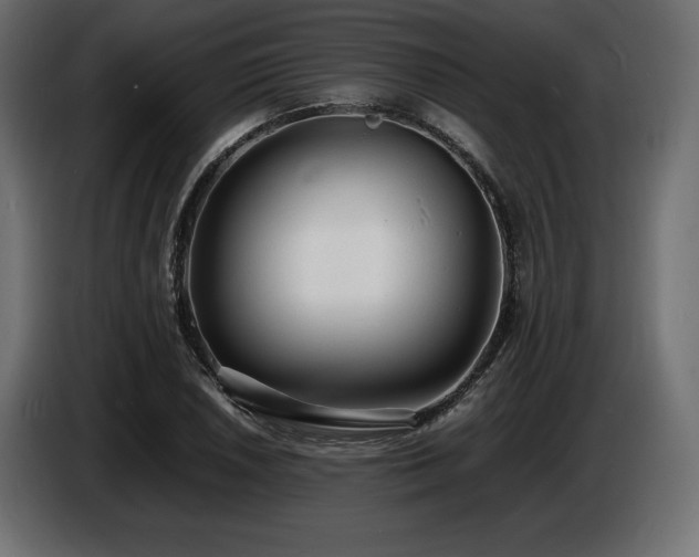 X0000086721026200704131039