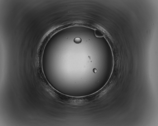 X0000086721027200704131039