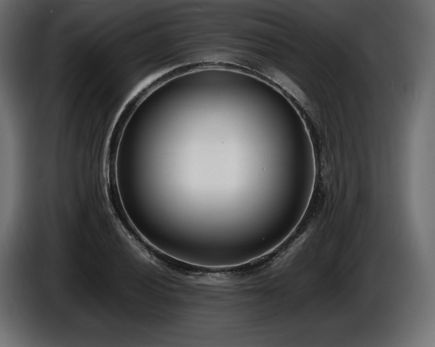 X0000086721028200704131039