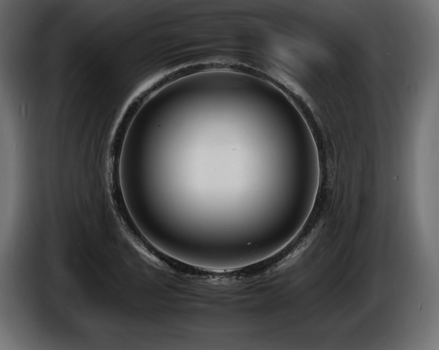 X0000086721029200704131039