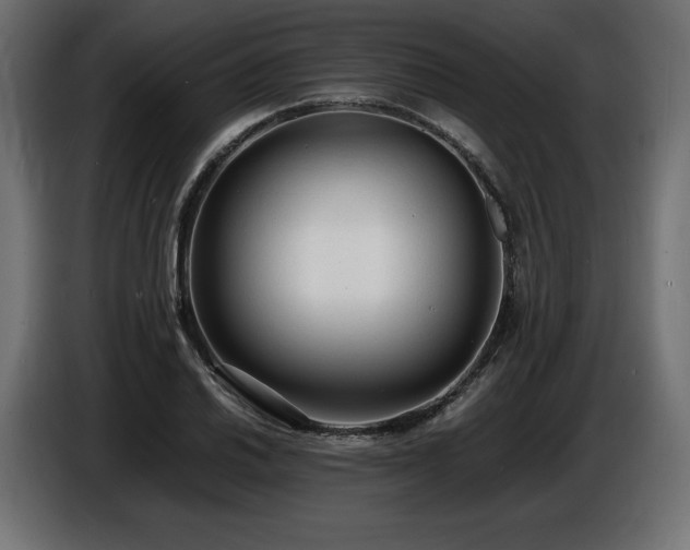 X0000086721030200704131039