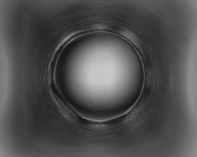 X0000086721031200704131039