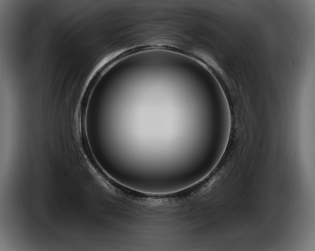 X0000086721032200704131039