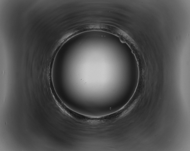 X0000086721033200704131039