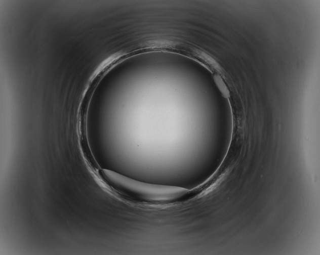 X0000086721034200704131039