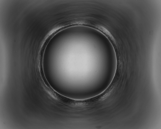 X0000086721035200704131039