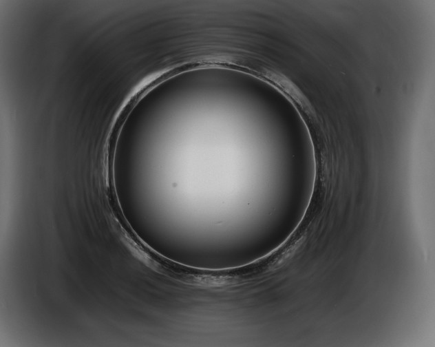 X0000086721036200704131039