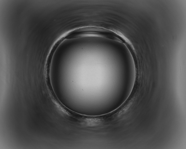 X0000086721037200704131039