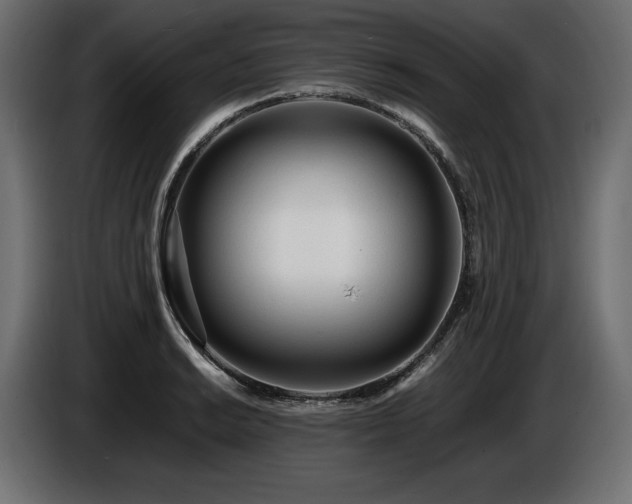 X0000086721038200704131039