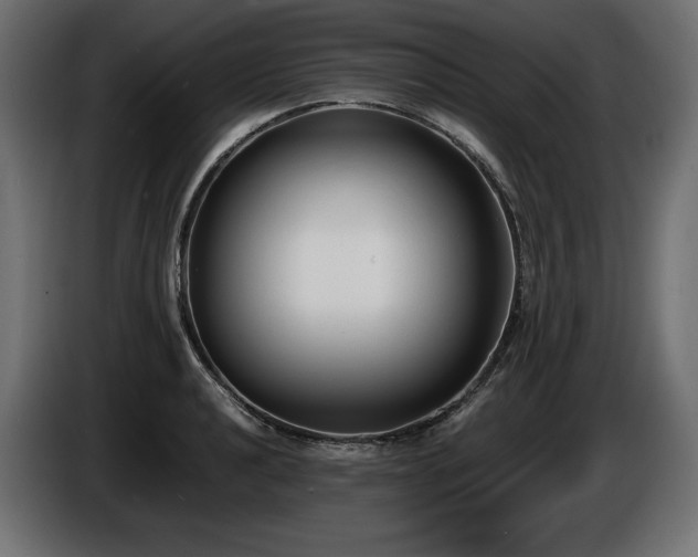 X0000086721040200704131039