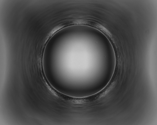 X0000086721041200704131039