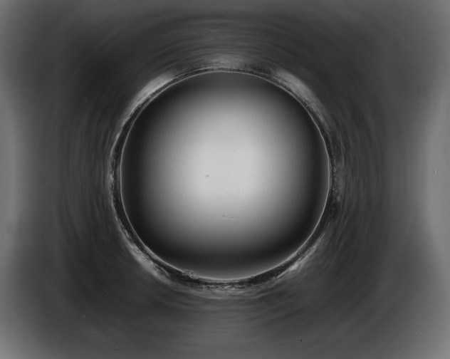 X0000086721042200704131039