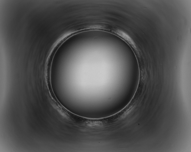 X0000086721043200704131039