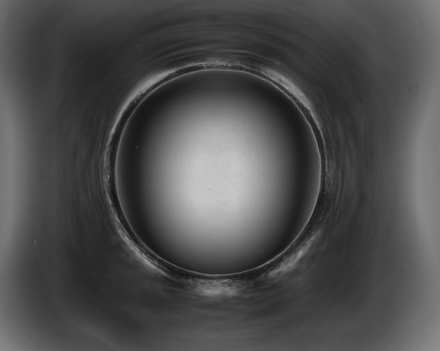X0000086721045200704131039