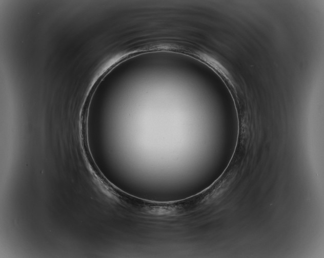 X0000086721047200704131039