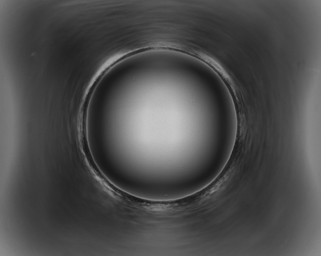 X0000086721048200704131039