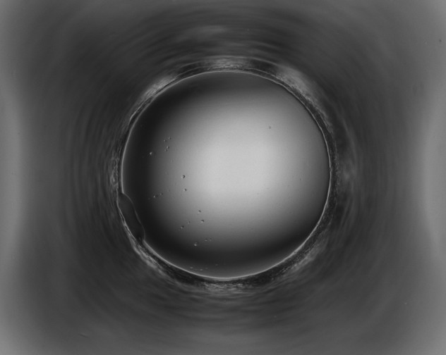 X0000086721049200704131039