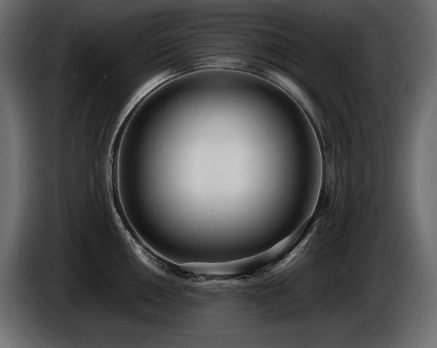 X0000086721050200704131039
