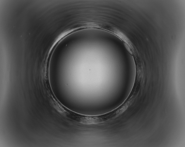X0000086721052200704131039