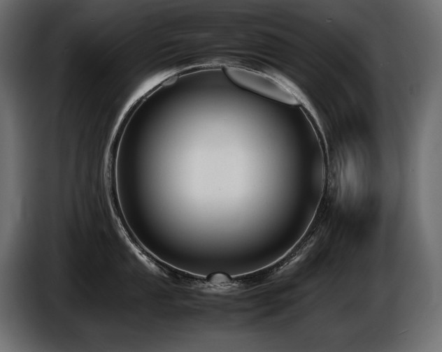 X0000086721053200704131039