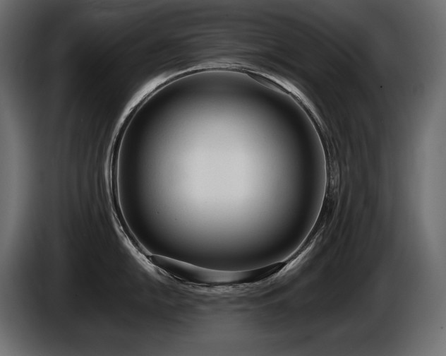 X0000086721054200704131039