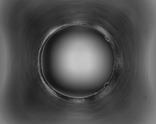 X0000086721055200704131039