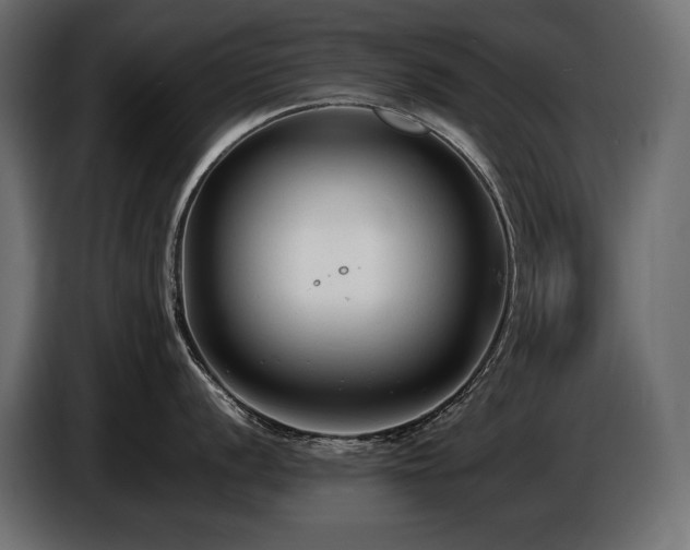 X0000086721056200704131039