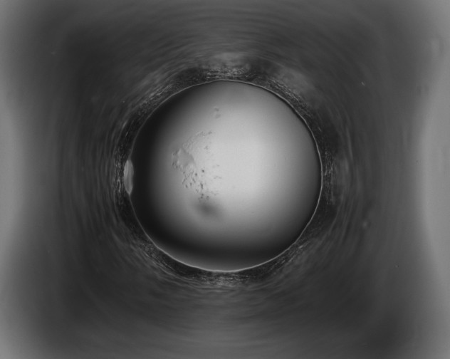 X0000086721058200704131039