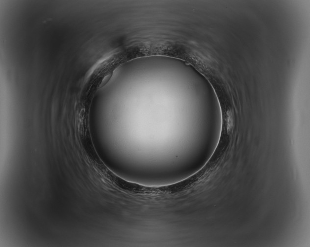 X0000086721059200704131039