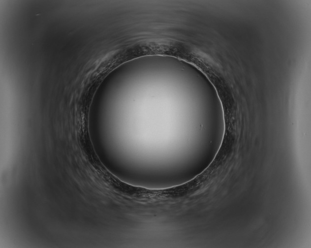 X0000086721061200704131039