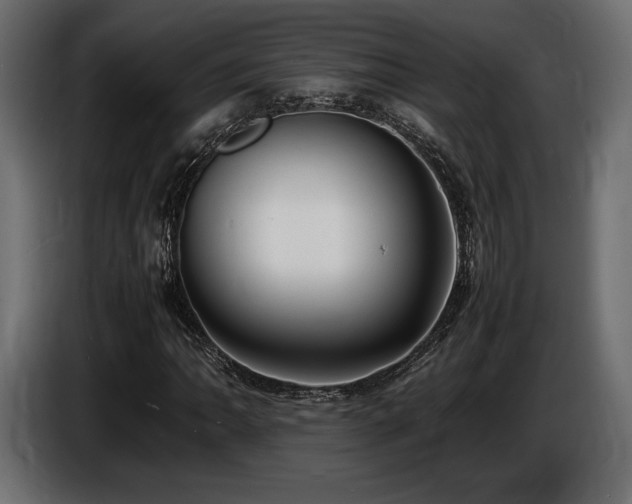 X0000086721062200704131039