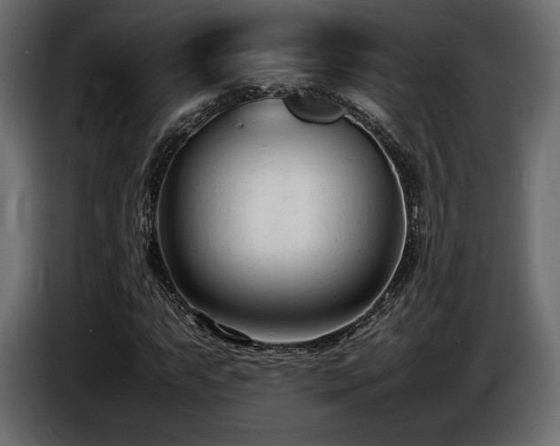X0000086721063200704131039