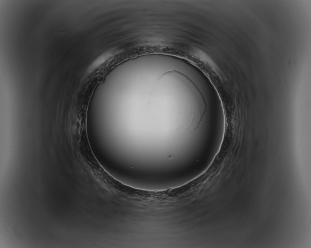 X0000086721064200704131039