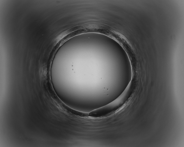 X0000086721065200704131039