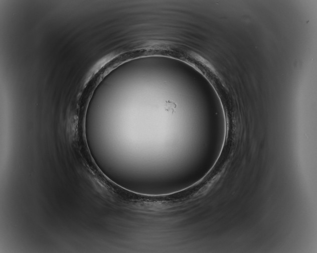 X0000086721066200704131039