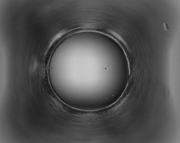 X0000086721067200704131039